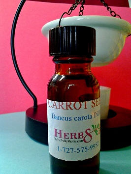 Carrot Seed essential oil (Daucus carota) 1 /2 oz